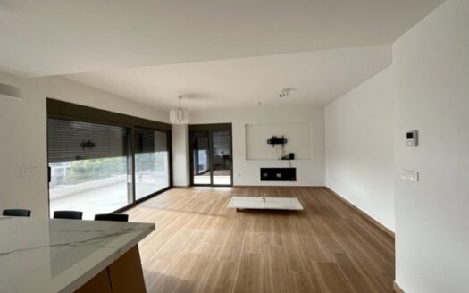 VOULA CENTER -LUXURY APARTMENT