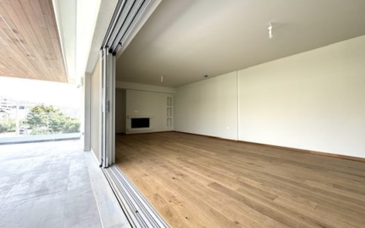 GLYFADA-CENTER LUXURY APARTMENT A+