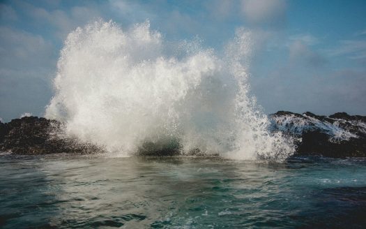 test1